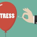 닥터 펠리체 짐 이미지