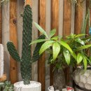 더블라썸플라워샵 이미지