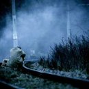 모스트(MOST) 이미지