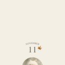 바나나 반려견 미용실 이미지