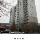 서구-02-06 이미지