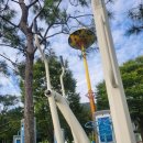 성주주민운동장 성주동  체육공원 | 제가 애정하는 운동장 소개해드릴께요^^