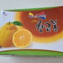 인셀덤조아대리점