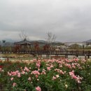 곡성-148 이미지