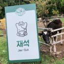 동건목장 이미지