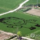 봉하농촌 체험마을 이미지