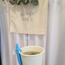 허브먼트 본점 | 시청점 | 1회 22만원 상당 유기농 두피관리 솔직 후기 (줄기세포 활성화 확정세포배양액4 / 탈모 관리...
