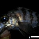 북신동주민자치센터 이미지