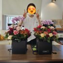 동국대학교사범대학부속금산중학교 네이버블로그