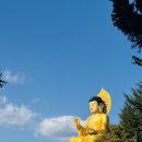 [부산여행] 부산템플스테이 <홍법사> 휴식형1박2일 후기 템플스테이일정