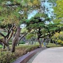 배산체육공원 앞 | (익산여행) 전북 익산 배산의 가을 풍경 도심에서 가을을 즐겨요