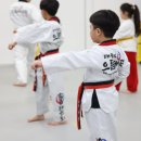 으뜸태권도장 이미지