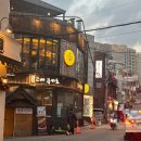 5407 | 강남역 파파야리프, 어퍼앤언더 후기 내돈내산