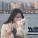 몽시떼루 네이버블로그