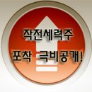 솔로몬타이어