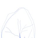 가을나무