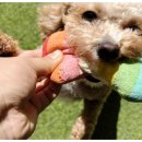 다우리유치원 이미지