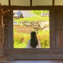 성밖숲 관광안내소 | [성주가볼만한곳] 한적하면서 힐링되는 곳 , 성주 &#39;한개마을&#39;