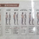 밸런스도수체형센터 이미지