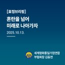효정브리핑 1013_혼란을 넘어 미래로 나아가자 이미지