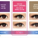 빅마트안경원 이미지