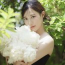 소유필름 - 안성시 벚꽃길 36 | 소유필름
