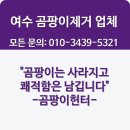 여수 곰팡이제거 업체 근본적인 원인해결이 중요합니다 순천 광양