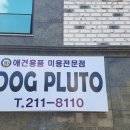 플루토시스템 이미지