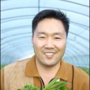 깻잎농원 이미지