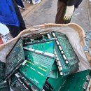 수원-0342 이미지