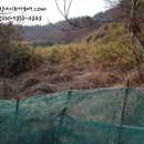 웅천읍두룡1리마을회관 | ★ ★ 충남 보령시 웅천읍 두룡리 72 전경매 사건번호 2018 타경 15690 경매대행 부동산경매[입찰기일...