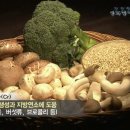 비타민열쇠 이미지