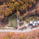 배티농장 이미지