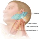 서울신경과의원 이미지