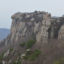 남해의 숲 이미지