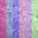 캔버스(CANVAS) 이미지