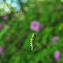 한량 - 마포구 와우산로32길 11 | 한량