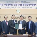 법무법인세움