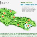 오투리조트 C.C 이미지