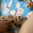 승구농장 이미지