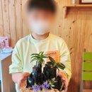 환경원예정원협동조합