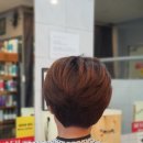 네바에헤어 네이버블로그