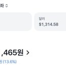 더미장(The미장)