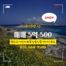 이민자공인중개사사무소 이미지
