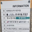 씨제이올리브영(주)대전둔산점 | 대전 둔산동 영필라테스 1:1 개인레슨 내돈내산 후기