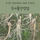 승지골농장 네이버블로그