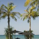 트리사라 이미지