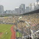 잠실역 6번출구 | 잠실야구장 직관 후기 (NC vs LG) : 네이비석 318구역 21열 시야 / 달콤커피 / 우이락 / 260502