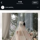 디자인스튜디오도감 | 💗 러브 팔레트 아이폰 메인 스냅 계약 후기 #대전아이폰스냅 #대전웨딩 #대전러브팔레트
