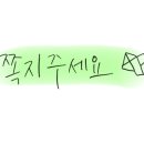 제우스창